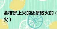 金桔是上火的還是敗火的(金桔是上火還是下火)