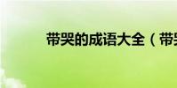 帶哭的成語大全(帶哭的成語)