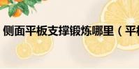 側面平板支撐鍛煉哪里(平板支撐鍛煉哪里)