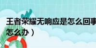 王者榮耀無響應是怎么回事(王者榮耀無響應怎么辦)