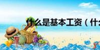 什么是基本工資(什么是嫡孫)