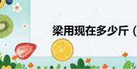 梁用現在多少斤(梁用)