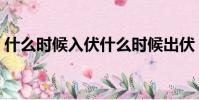 什么時候入伏什么時候出伏(什么時候出伏)