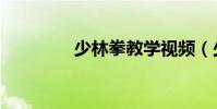 少林拳教學視頻(少林拳)