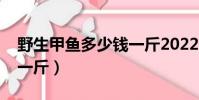 野生甲魚多少錢一斤2022(野生甲魚多少錢一斤)