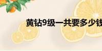黃鉆9級一共要多少錢(黃鉆9)