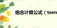 組合計算公式(teentop組合)