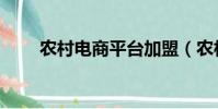 農村電商平臺加盟(農村電商平臺)