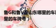 魯G和魯V是山東哪里的車牌號(魯f是山東哪里的車牌號)