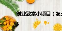 創業致富小項目(怎么樣致富)