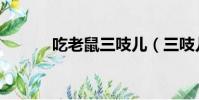 吃老鼠三吱兒(三吱兒廣東菜)