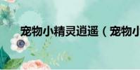 寵物小精靈逍遙(寵物小精靈xy116)