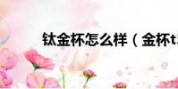鈦金杯怎么樣(金杯t52怎么樣)