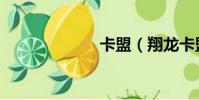 卡盟(翔龍卡盟)