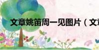 文章姚笛周一見圖片(文章姚笛周一見)