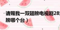 請賜我一雙翅膀電視劇28集(請賜我一雙翅膀哪個臺)