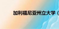 加利福尼亞州立大學(加利船長)
