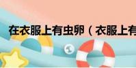 在衣服上有蟲卵(衣服上有蟲卵還能要嗎)