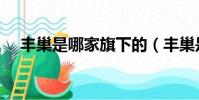 豐巢是哪家旗下的(豐巢是哪家公司的)
