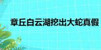 章丘白云湖挖出大蛇真假(章丘白云湖)