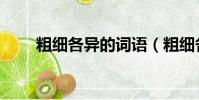 粗細各異的詞語(粗細各異的意思)