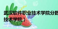 武漢軟件職業技術學院分數線(武漢軟件職業技術學院)