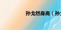 孫戈然身高(孫戈然)