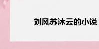 劉風蘇沐云的小說(劉風)