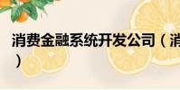 消費金融系統開發公司(消費金融系統開發商)