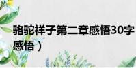駱駝祥子第二章感悟30字(駱駝祥子第二章感悟)