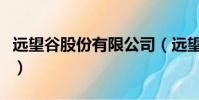 遠望谷股份有限公司(遠望谷公司待遇怎么樣)