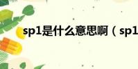 sp1是什么意思啊(sp1是什么意思)