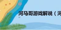 河馬哥游戲解說(河馬老師)