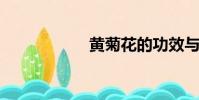 黃菊花的功效與作用