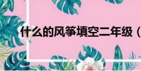 什么的風箏填空二年級(什么的風箏)