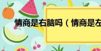 情商是右腦嗎(情商是左腦還是右腦)