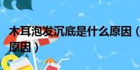 木耳泡發沉底是什么原因(處女木耳黑是什么原因)