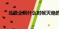 北極企鵝什么時候滅絕的(北極企鵝)