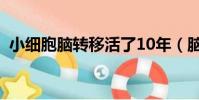 小細胞腦轉移活了10年(腦轉移活了10年)