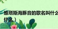 維塔斯海豚音的歌名叫什么(海豚音的歌名叫什么)