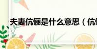 夫妻伉儷是什么意思(伉儷是什么意思)