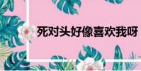 死對頭好像喜歡我呀(死對頭)
