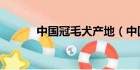 中國冠毛犬產地(中國冠毛犬)