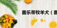 喜樂蒂牧羊犬(喜樂蒂)