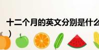 十二個月的英文分別是什么(十二個月的英文)