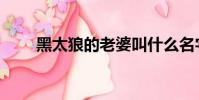 黑太狼的老婆叫什么名字(黑太狼)