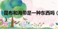 昆布和海帶是一種東西嗎(昆布和海帶的區別)