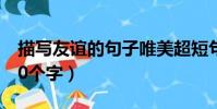 描寫友誼的句子唯美超短句(友誼唯美短句10個字)