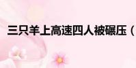三只羊上高速四人被碾壓(3只羊致4人死)