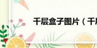 千層盒子圖片(千層盒子)